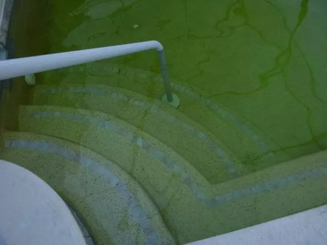 All Seasons Pools
