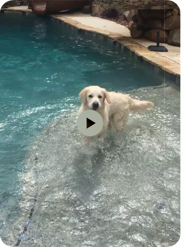 All Seasons Pools