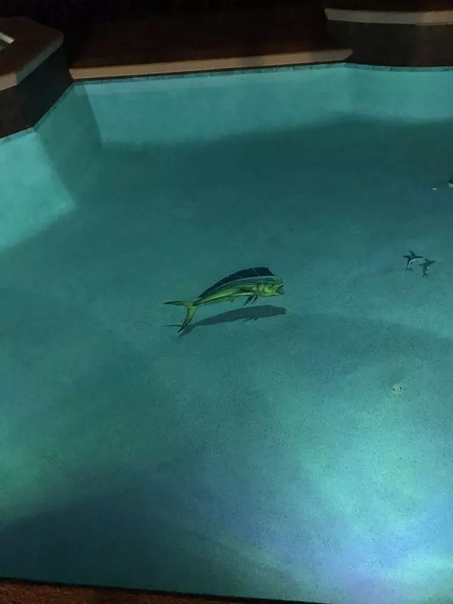 All Seasons Pools