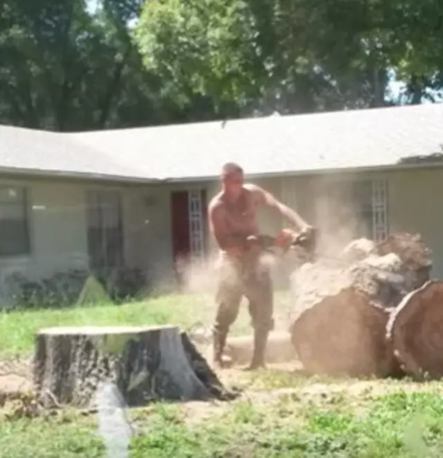A Original Southern Style Tree Service