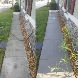 Affordable Pressure Washing Services