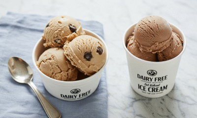 Dairy Free Ice Cream: A Delicious Alternative for Every Lifestyle