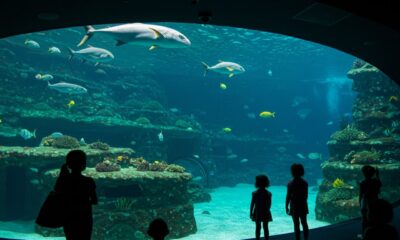 The Best Aquariums in the US: Dive into a World of Marine Wonders